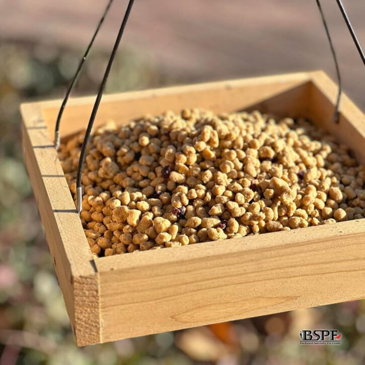 ENERGY COMPLETE Suet Bites (Blended Berry)