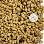 ENERGY COMPLETE Suet Bites (Blended Berry)