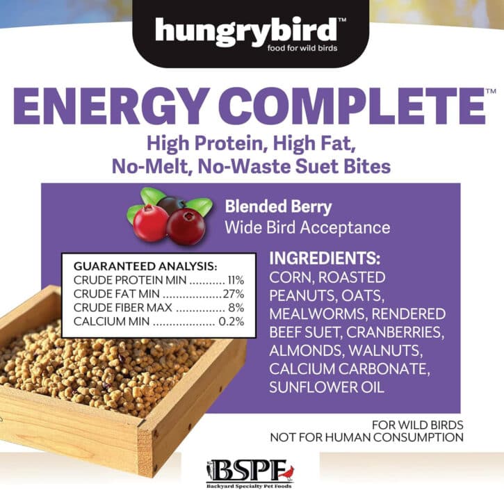 ENERGY COMPLETE Suet Bites (Blended Berry)