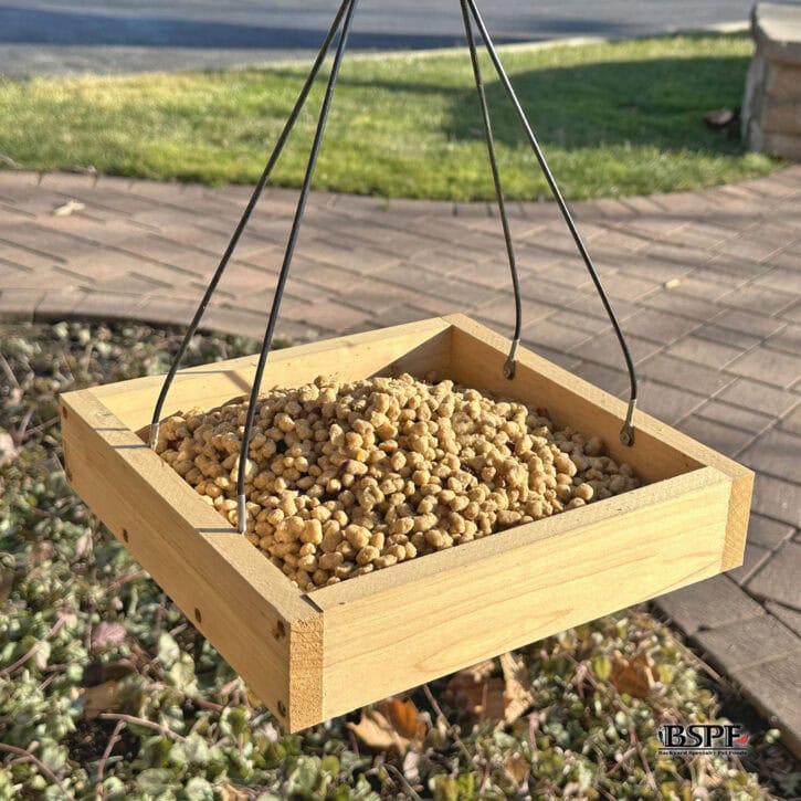 ENERGY COMPLETE Suet Bites (Peanut Butter)