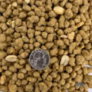 ENERGY COMPLETE Suet Bites (Peanut Butter)