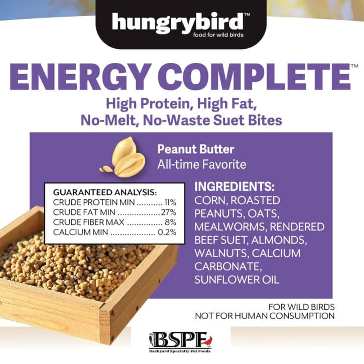 ENERGY COMPLETE Suet Bites (Peanut Butter)