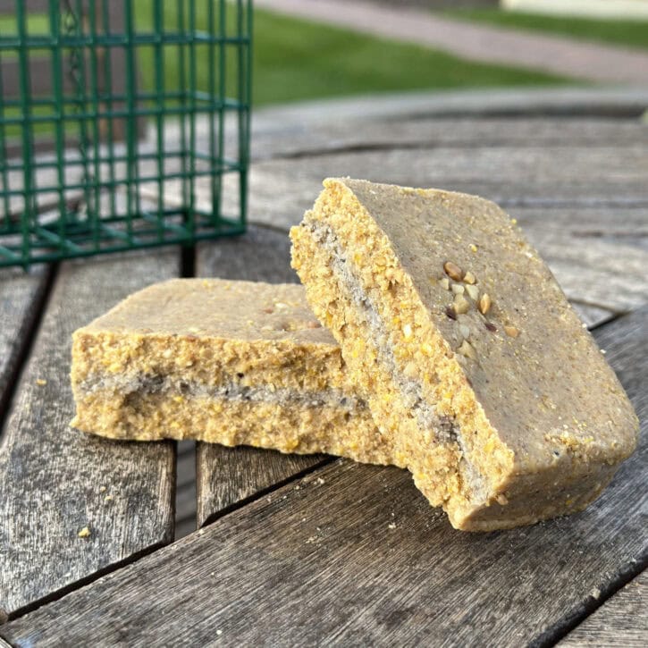 ENERGY+ Filled Suet Cake (Peanut Butter)