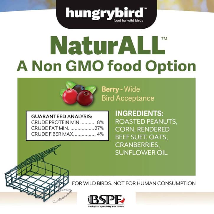 NaturALL Non-GMO Suet Cake (Berry)